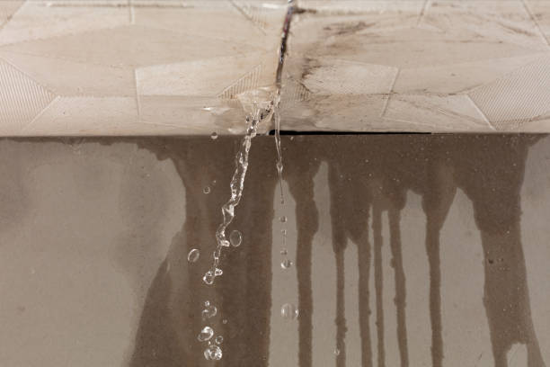 Professional Water Damage Repair technician working in Deerfield, WI